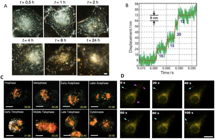Clinical Diagnostics